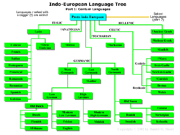 Germanic Branch Chart