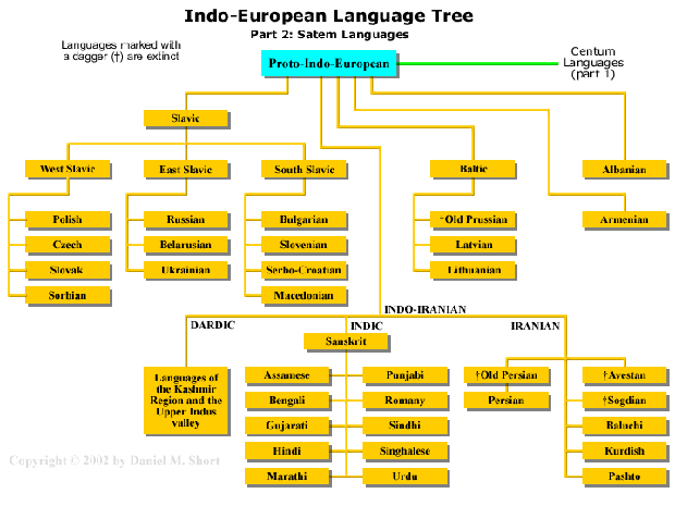 the proto indo european language family originated in